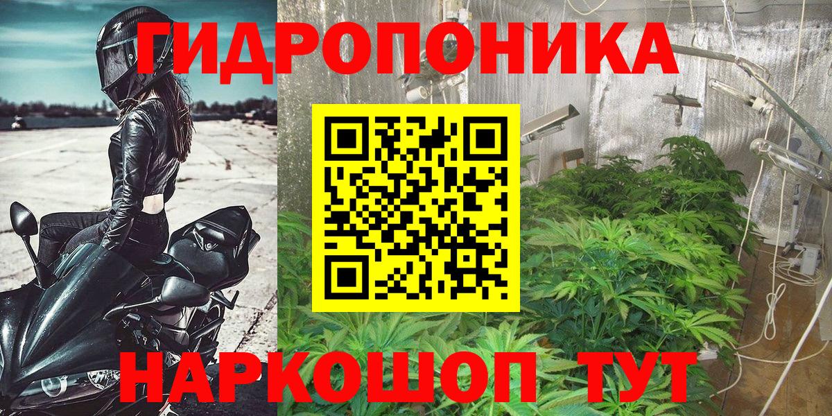 Бошки марихуана MAZAR Орёл